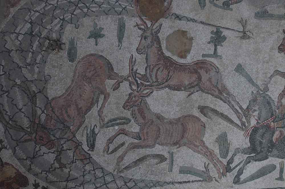 59 - Italia - Sicilia - Piazza Armerina - villa romana de Casale - mosaico